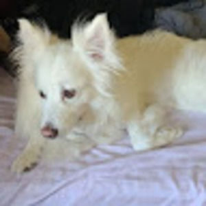 Meet your Posher, Gina